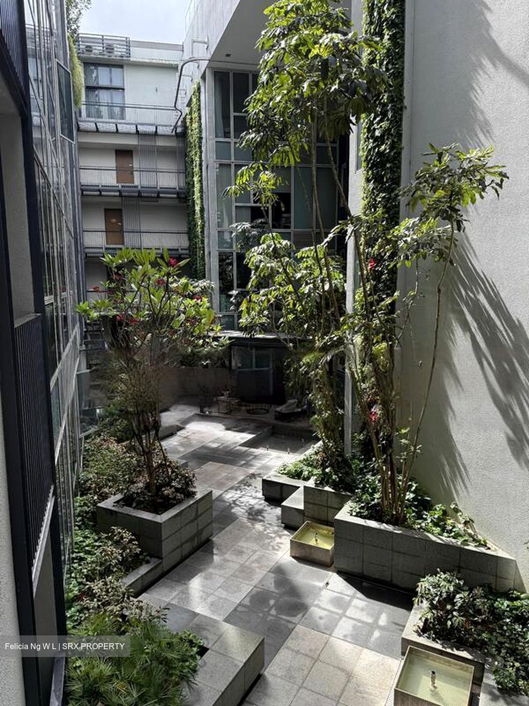 Bijou (D5), Apartment #538564371